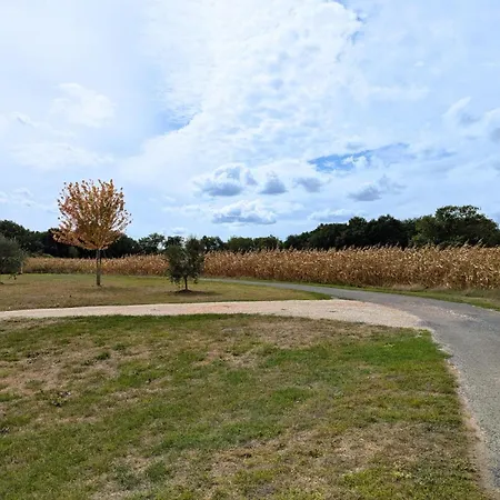 Charentais Renove Au Calme Avec Parking Et Jardin Privatif - Fr-1-653-281 *