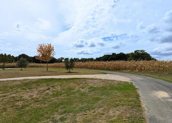 Charentais Renove Au Calme Avec Parking Et Jardin Privatif - Fr-1-653-281 *